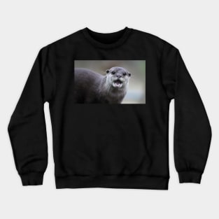 Muso Crewneck Sweatshirt